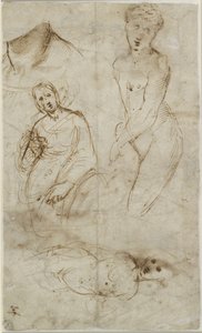 Verso: Különféle tanulmányok, WA1846.177 alkotó: Raffaello Sanzio Raphael